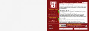 Ransomware Data Recovery-